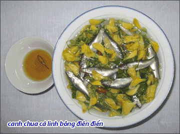 DS_250712_CANH-2.gif